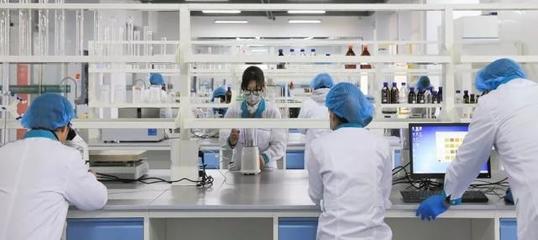 從養(yǎng)河豚到蓋“金磚”大廈 一家企業(yè)的跨界轉(zhuǎn)型與科技突圍之路