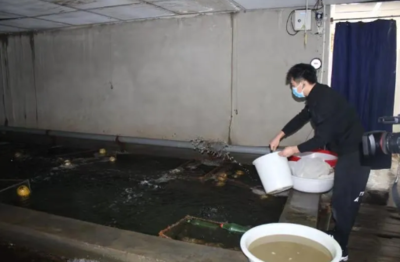 工程和技術(shù)研究與試驗(yàn)發(fā)展 創(chuàng)新驅(qū)動(dòng)與未來(lái)展望